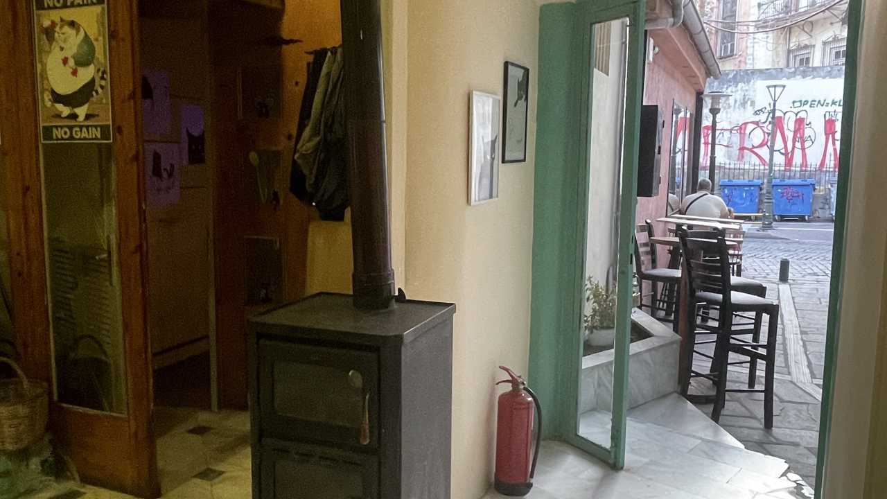 Ο Γάτος
