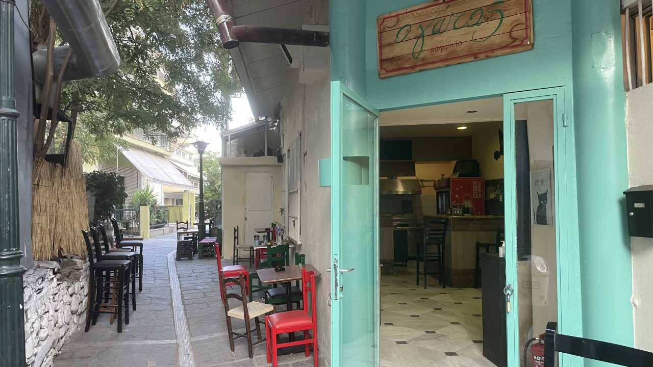 Ο Γάτος
